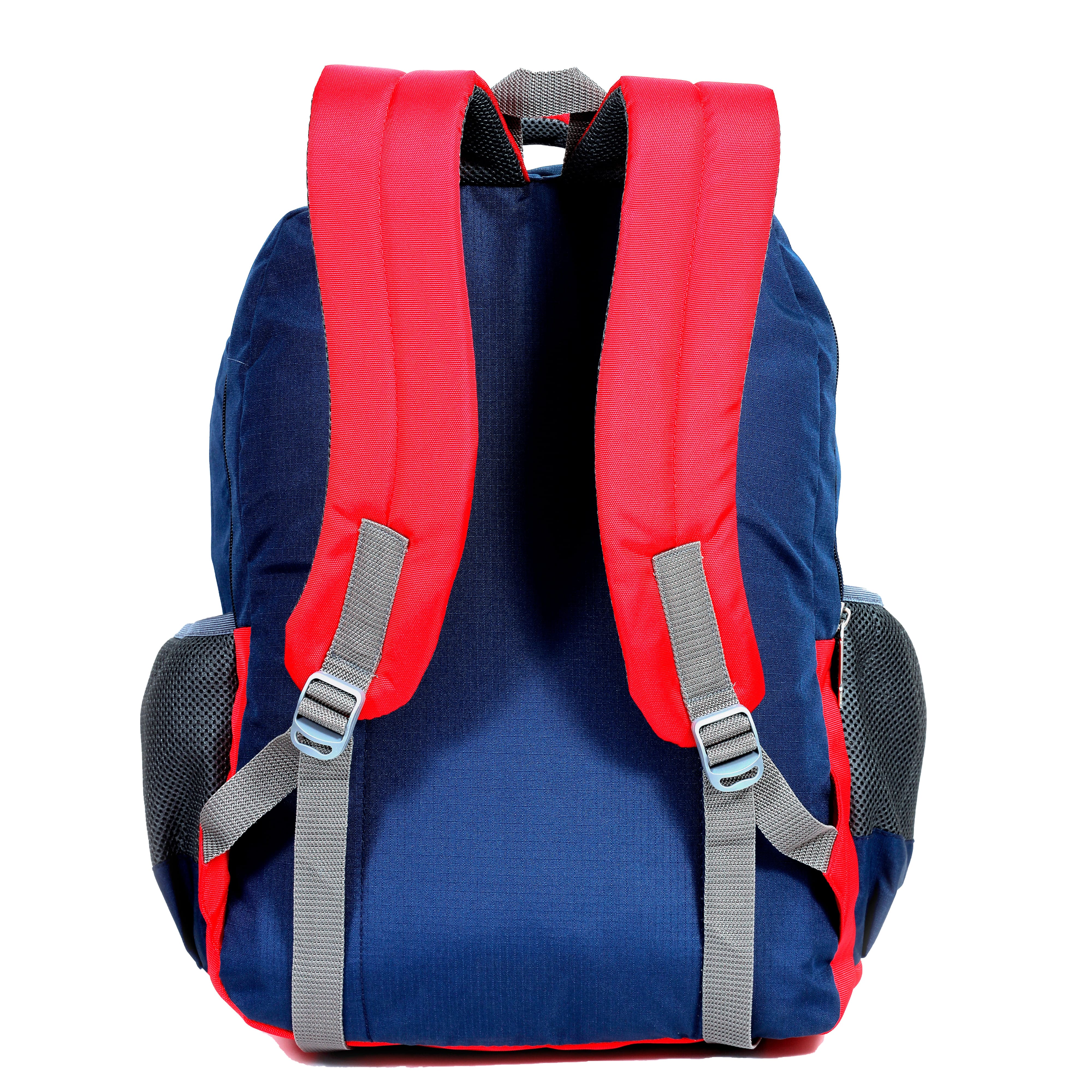 Backpack View 2